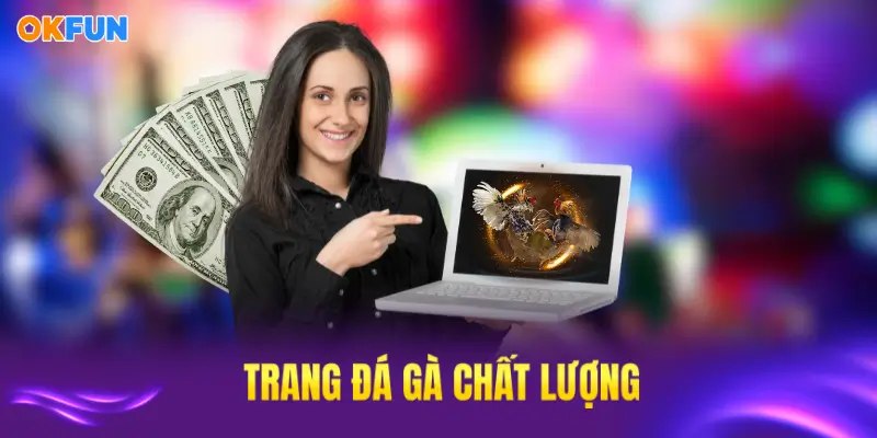 Sảnh đá gà OKFUN với chất lượng và dịch vụ tốt nhất